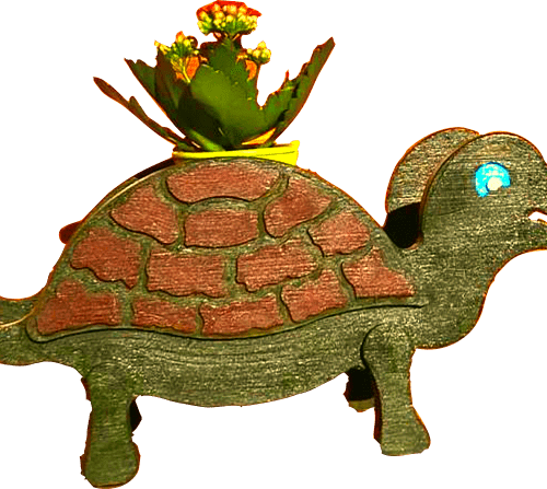 Download Pflanzenregal Schildkröte